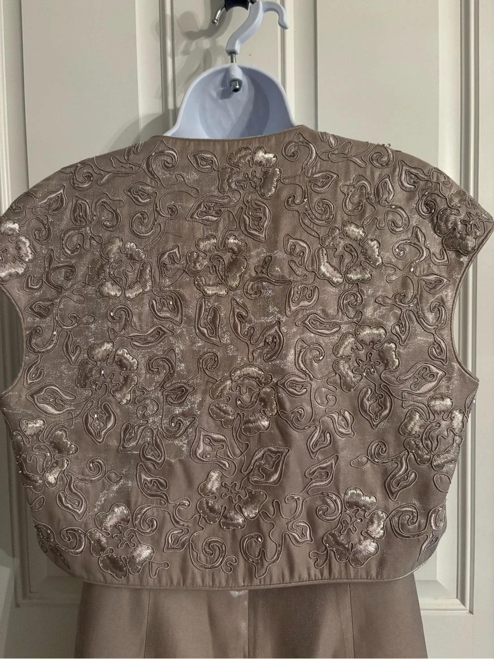 Alex Evenings Shimmering Dusty Beige Two-Piece Evening Set - Picture 4 of 9